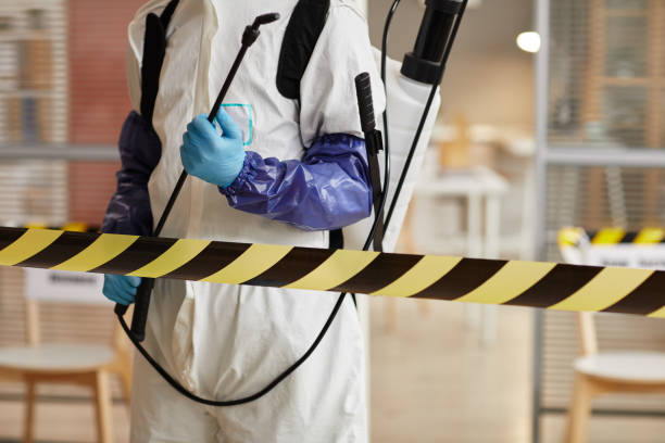 Professional Biohazard Cleanup technician working in Medina, TX